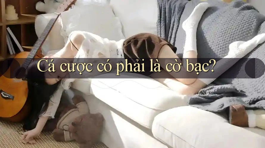 Cá cược có phải là cờ bạc?