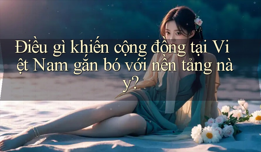 Điều gì khiến cộng đồng tại Việt Nam gắn bó với nền tảng này?