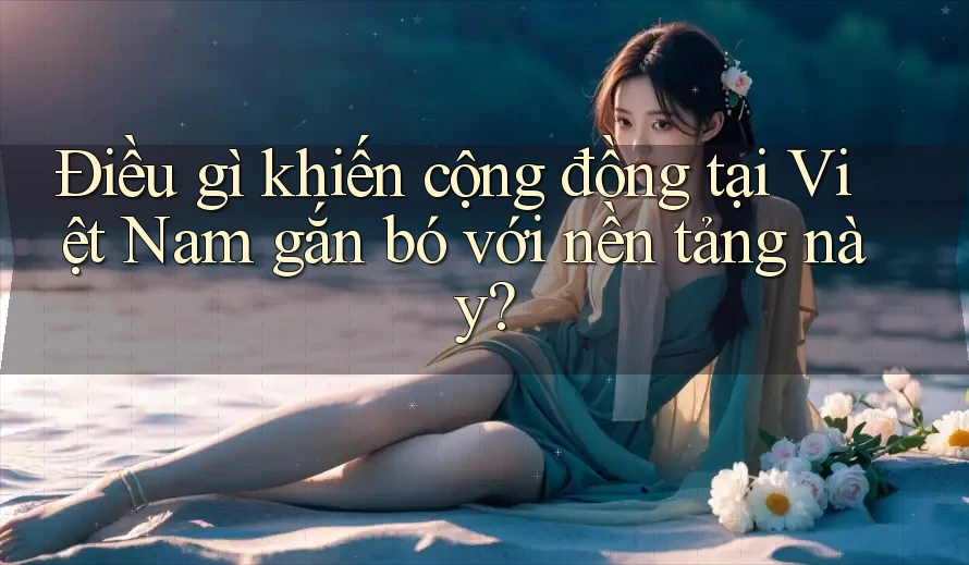 Điều gì khiến cộng đồng tại Việt Nam gắn bó với nền tảng này?