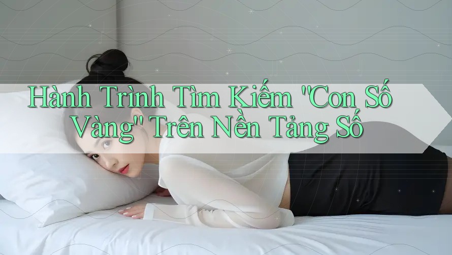 Hành Trình Tìm Kiếm “Con Số Vàng” Trên Nền Tảng Số