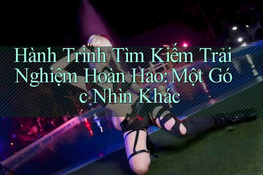 Hành Trình Tìm Kiếm Trải Nghiệm Hoàn Hảo: Một Góc Nhìn Khác