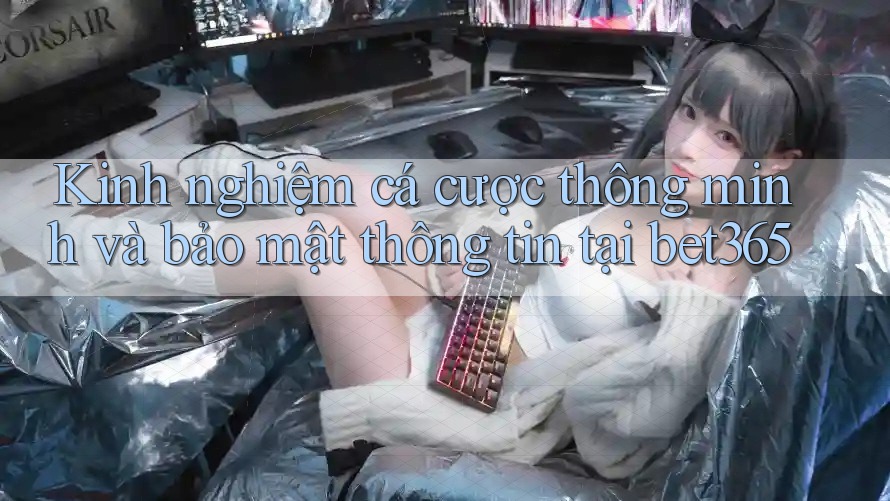 Kinh nghiệm cá cược thông minh và bảo mật thông tin tại bet365