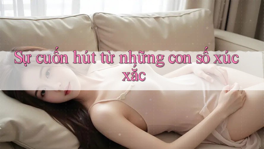 Sự cuốn hút từ những con số xúc xắc