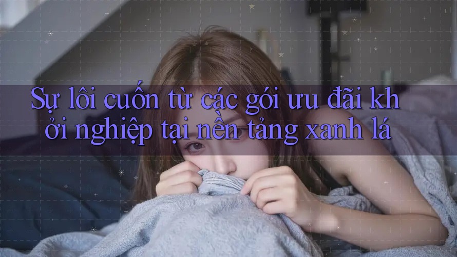 Sự lôi cuốn từ các gói ưu đãi khởi nghiệp tại nền tảng xanh lá