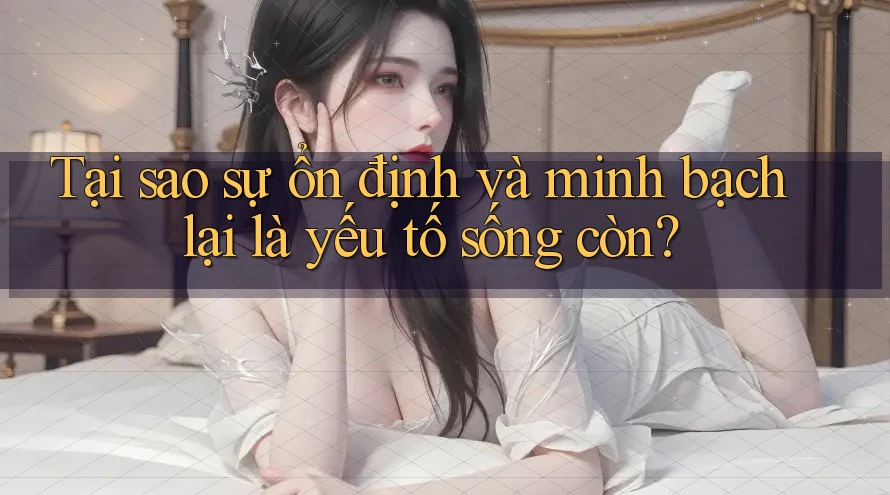 Tại sao sự ổn định và minh bạch lại là yếu tố sống còn?