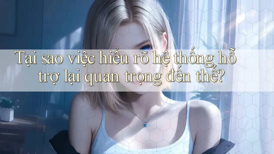Tại sao việc hiểu rõ hệ thống hỗ trợ lại quan trọng đến thế?