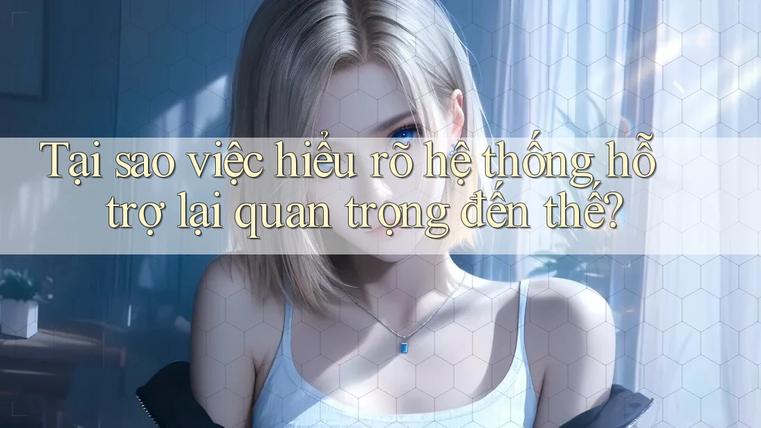 Tại sao việc hiểu rõ hệ thống hỗ trợ lại quan trọng đến thế?