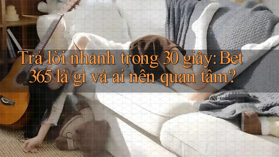 Trả lời nhanh trong 30 giây: Bet365 là gì và ai nên quan tâm?